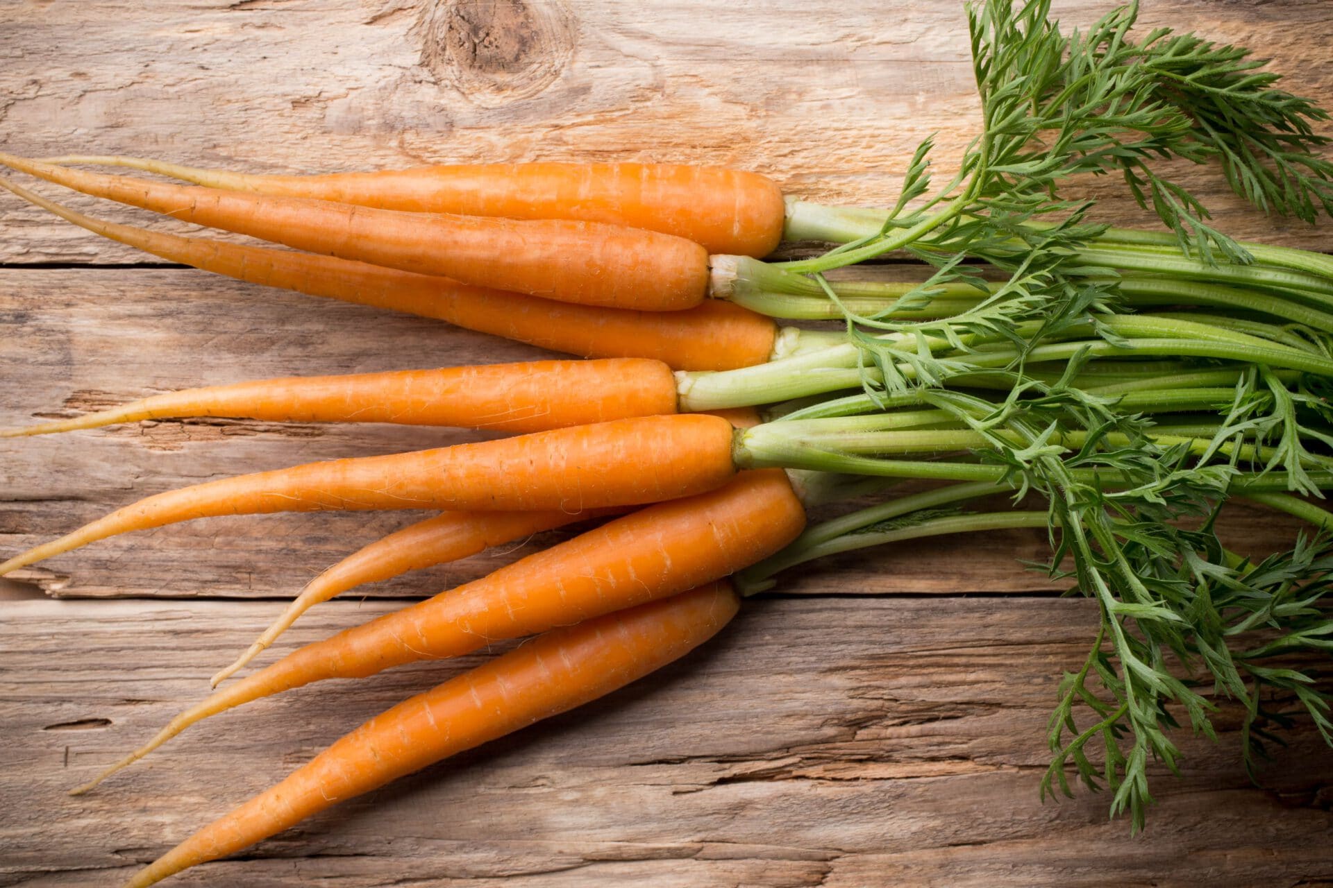 แครอทเป็นผักรากที่อร่อย