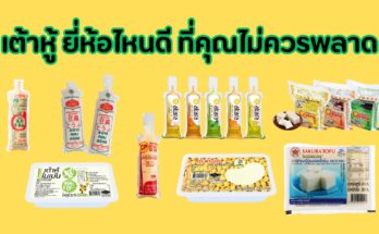 เต้าหู้ ยี่ห้อไหนดี 10 ยี่ห้อที่คุณไม่ควรพลาด